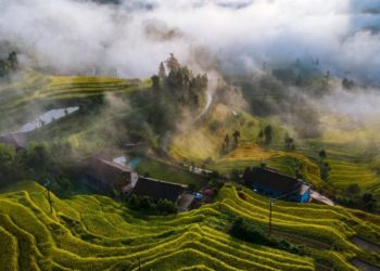 Konferensi Budaya Pertanian Global Ke 4 Resmi Dibuka Di Loudi Hunan