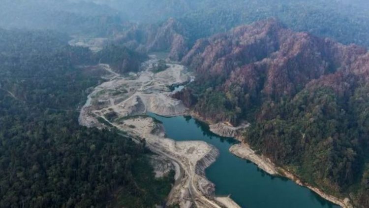 Negara Ambil Alih Tambang Emas Terbesar Kedua Di Papua Dan