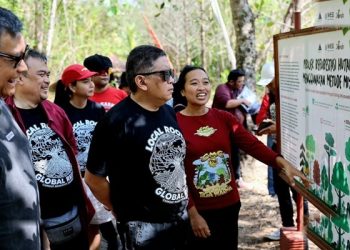 Pdip Sebut Tata Ruang Keliru Dan Penegakan Hukum Lemah Jadi