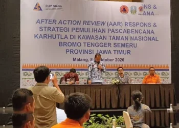Pascakebakaran Hebat Bpbd Jatim Genjot Pemulihan Ekosistem Bromo Semeru