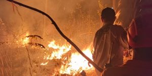Pemerintah Didesak Tindak Tegas Bos Korporasi Pemicu Karhutla Tanpa Kompromi