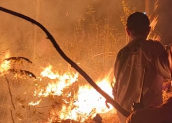 Pemerintah Didesak Tindak Tegas Bos Korporasi Pemicu Karhutla Tanpa Kompromi