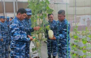 Perkuat Ketahanan Pangan, Pangkoopsudnas Dipandu Danlanud Abd Saleh Panen Melon Jumbo di Malang