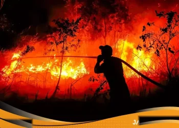 Prabowo Tegaskan Sanksi Tegas Bagi Perusahaan Asing Pemicu Kebakaran Hutan