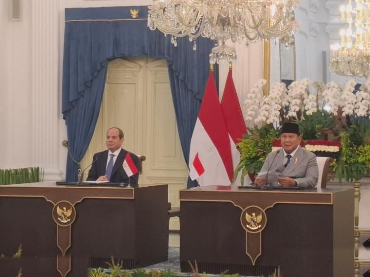Prabowo Dan El Sisi Sepakat Perkuat Ekonomi Nasional Lewat Epa Indonesia Mesir
