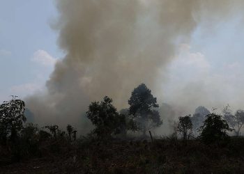Saat Udara Bersih Dikorbankan Demi Komoditas Global Greenpeace Indonesia