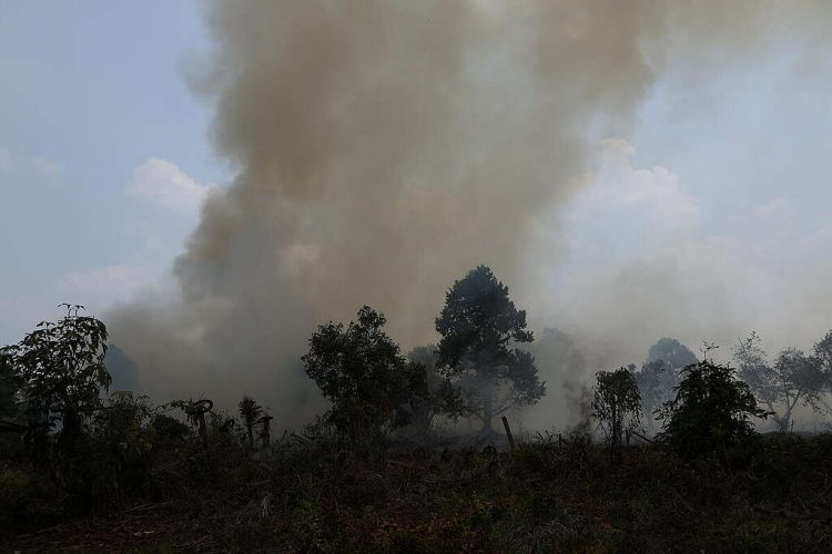 Saat Udara Bersih Dikorbankan Demi Komoditas Global Greenpeace Indonesia