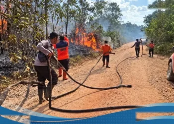 Siagakan Alat Berat Dan Personel Emiten Sawit Mktr Bergerak Cepat
