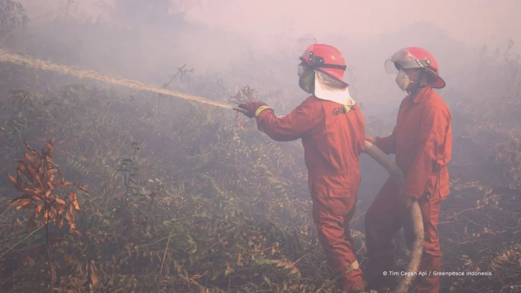 Singapura Peringatkan 10 Perusahaan Penyebab Kabut Asap, Greenpeace Desak Pemimpin ASEAN Berhenti Basa-Basi
