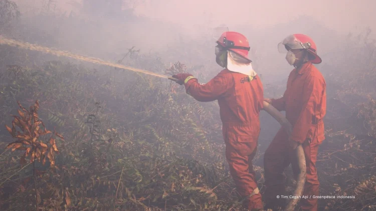 Singapura Peringatkan 10 Perusahaan Penyebab Kabut Asap Greenpeace Desak Pemimpin
