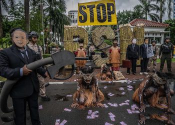 Tanggapan Greenpeace Atas Pernyataan Hashim Djojohadikusumo Dan Mari Elka Pangestu