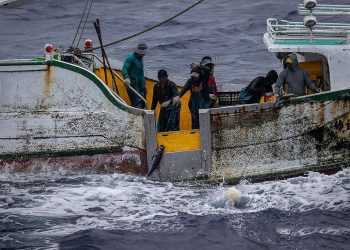 Trafficking In Persons Report 2026 Industri Perikanan Indonesia Paling Eksploitatif