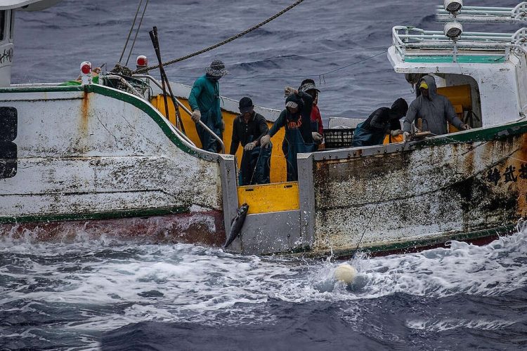 Trafficking In Persons Report 2026 Industri Perikanan Indonesia Paling Eksploitatif