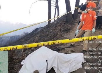 Uea Sampaikan Solidaritas Untuk Indonesia Atas Bencana Karhutla Bromo Yang