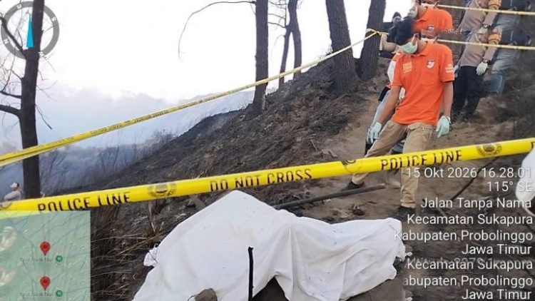 Uea Sampaikan Solidaritas Untuk Indonesia Atas Bencana Karhutla Bromo Yang