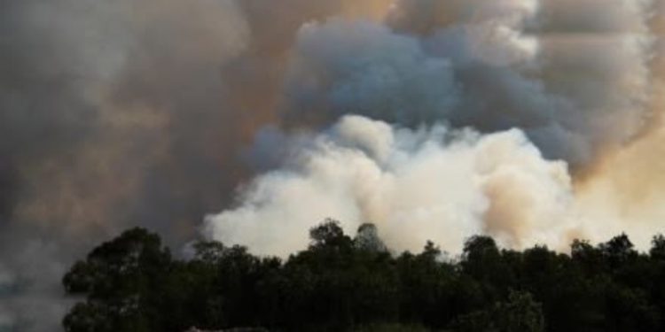 Usut Jaringan Korporasi Perusak Lingkungan Satgas Indonesia Singapura Didesak Bertindak Tegas