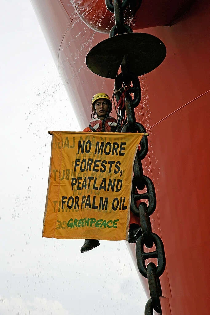 A Greenpeace activist climbs on the anchor chain of the 
tanker Gran Couva and displays a banner reading "No more forests, peatland for palm oil" during an action where crew members from the Greenpeace ship MV Esperanza occupied the tanker for 24 hours. The tanker, carrying 27,000 metric tonnes of crude palm oil for the Wilmar Company, was held up from departing to its destination Rotterdam, Netherlands. 
Greenpeace is protesting against the destruction of Kampar Peninsula's peatland forest by pulp and paper and palm oil industries and is calling for the Indonesian Government to implement a moratorium on deforestation.  Peatland forest is critical for maintaining biodiversity and its degradation releases vast stores of carbon thereby contributing to global climate change.