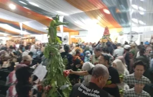 Mango Carnival Probolinggo Jadi Jembatan Mangga Lokal Tembus Pasar Ekspor Jepang