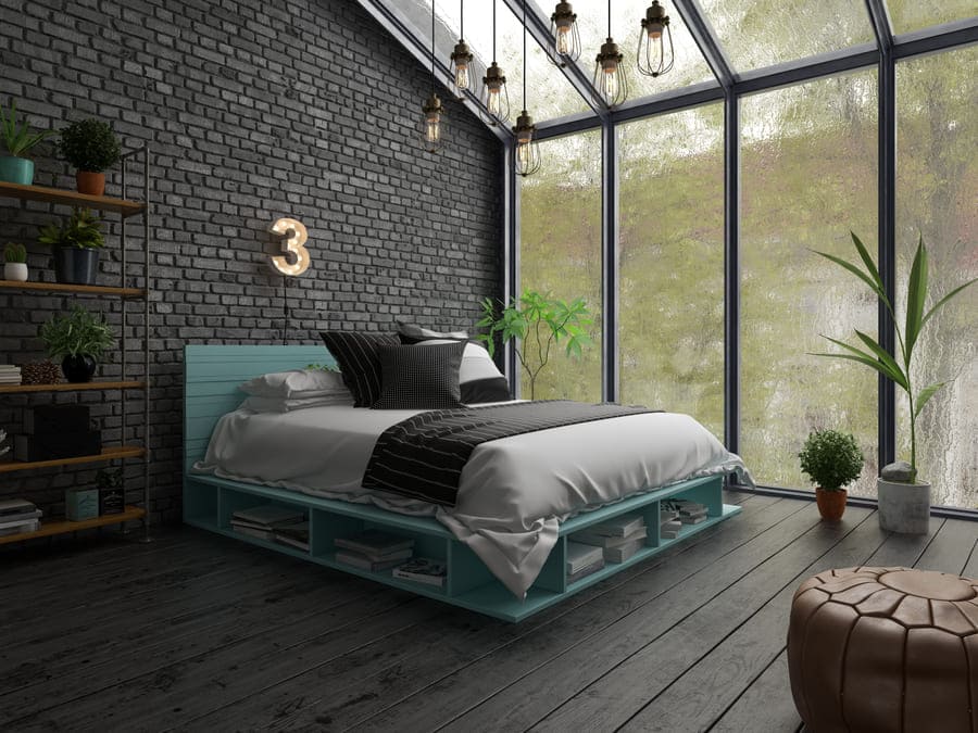 Tanaman Hias Untuk Kamar)