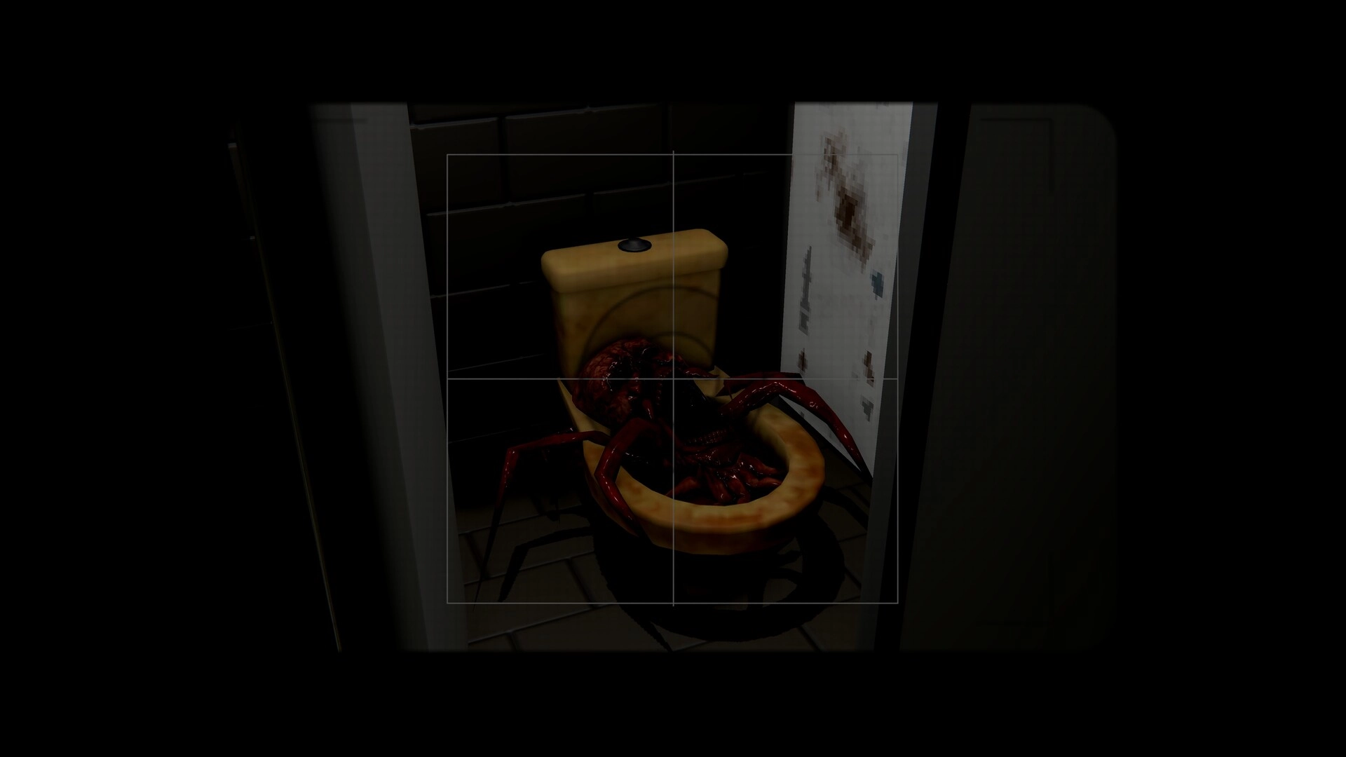 Spider Spider