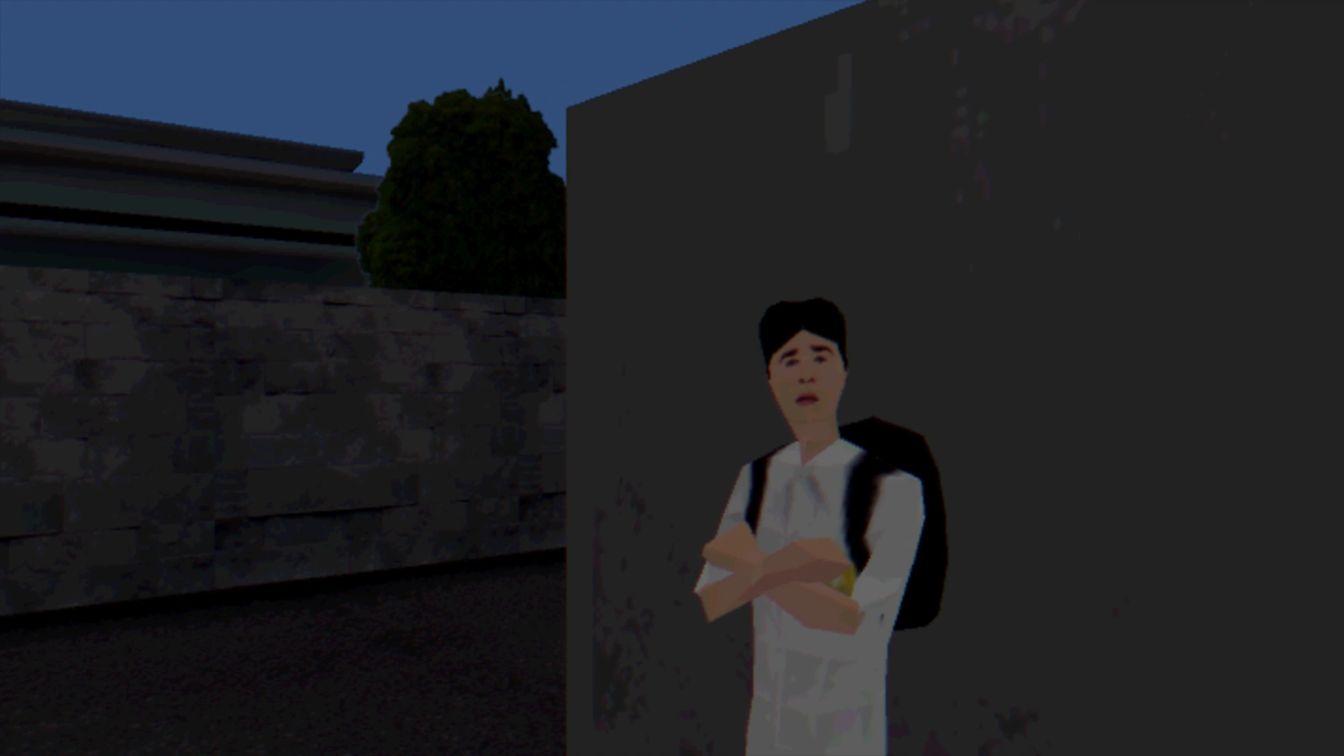 Anton the Bully Anton the Bully