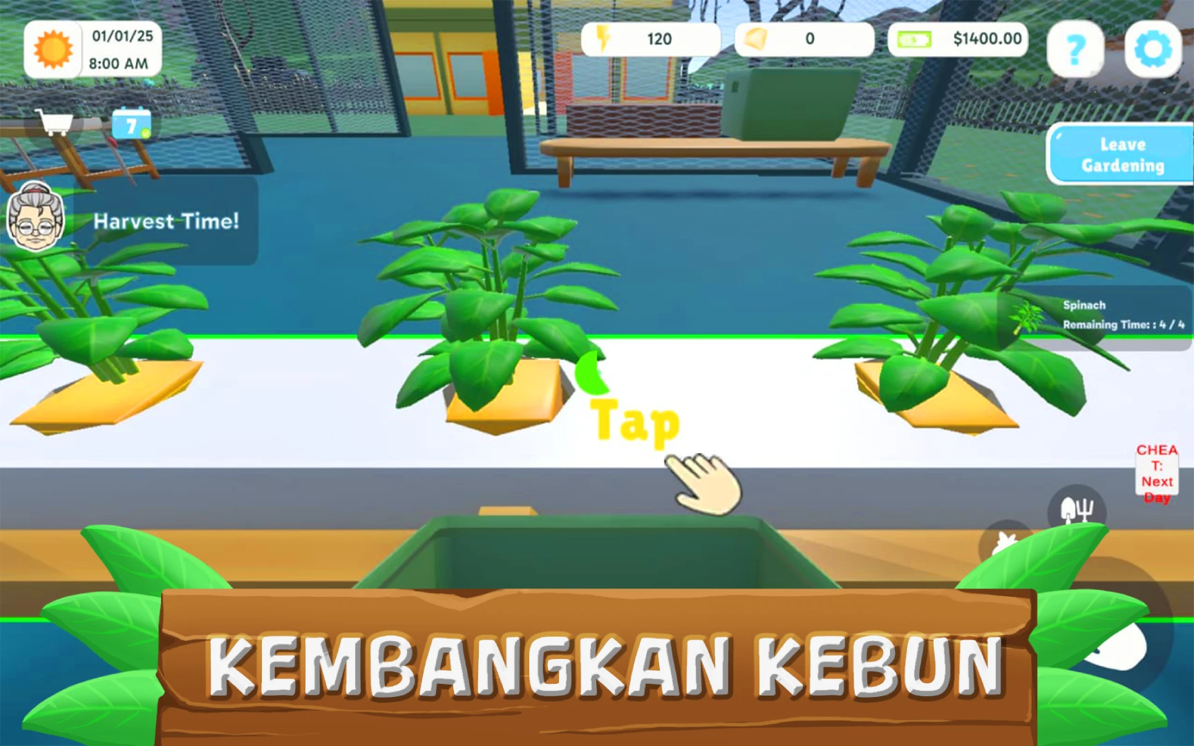 Build and Expand Build and Expand