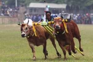 Tour_&_Travel_Malang
