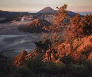 Tour_&_Travel_Malang