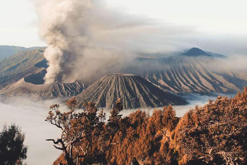 Tour_&_Travel_Malang