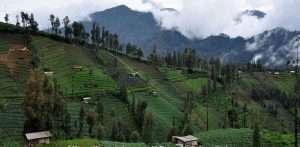 Tour_&_Travel_Malang