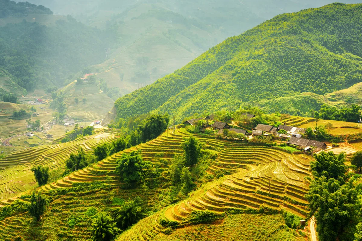 Rice Field, Sa Pa | Vietnam Tour 4d3n