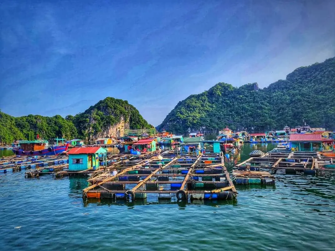 itinerary Vietnam, Ha Long