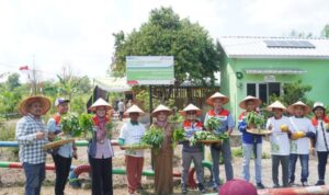 Pengelolaan Air Berbasis Energi Surya: Pertamina Bantu Atasi Tantangan Pertanian Desa Pulau Semambu