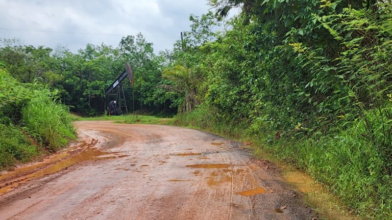 Tuntut Pertamina, Setop Eksploitasi Minyak dan Perbaiki Infrastruktur Rusak di Belido Darat