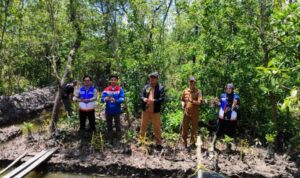 Komitmen Net Zero Emission: Pertamina Implementasikan Silvofishery di Kawasan Mangrove Pesisir Pangkal Babu