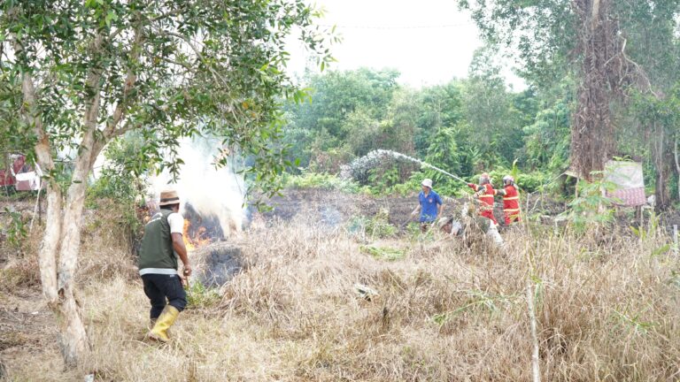 Pertamina Wujudkan Aksi Nyata dalam Pelestarian Lahan Gambut dan Mitigasi Karhutla