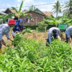 Transformasi Hijau Pertamina: Lahan Bekas Galian Jadi Sumber Pangan dan Produk UMKM