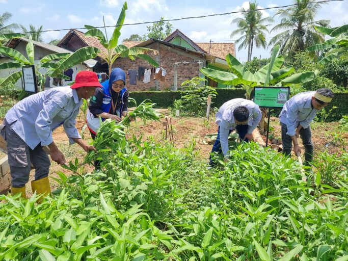 Transformasi Hijau Pertamina: Lahan Bekas Galian Jadi Sumber Pangan dan Produk UMKM