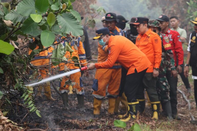 Pj Bupati Banyuasin Turun Langsung Padamkan Kebakaran Di Kenten Laut