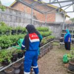 Greenhouse UMKM SUTRA: Komitmen Pertamina Wujudkan Ketahanan Pangan dan Pelestarian Lingkungan