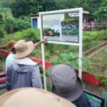 Pertamina Berikan Solusi Terpadu Pemulihan Lahan dan Peningkatan Kesejahteraan Masyarakat melalui Program Lentera Talang