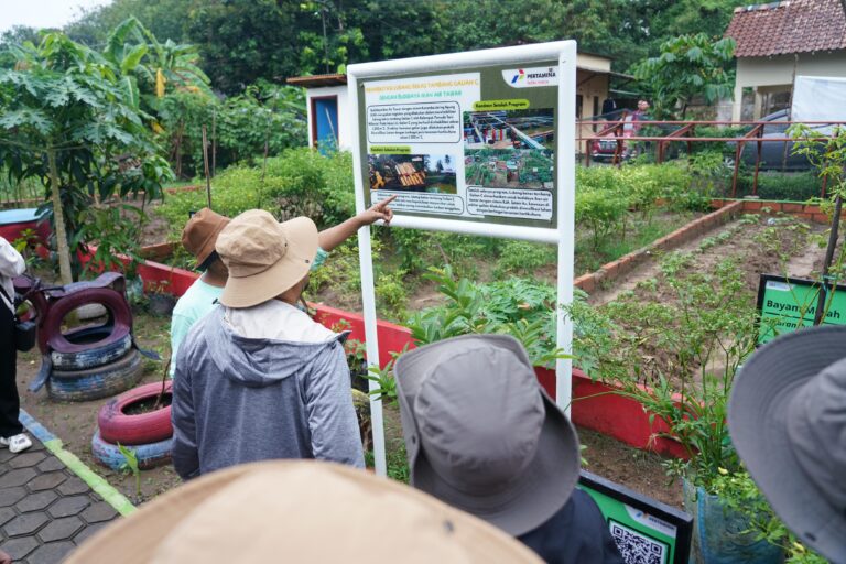 Pertamina Berikan Solusi Terpadu Pemulihan Lahan dan Peningkatan Kesejahteraan Masyarakat melalui Program Lentera Talang