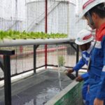 Pertamina Raih Penghargaan Kategori Utama, Program Ecolivestock Sebagai Langkah Menuju Ekonomi Hijau