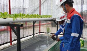 Pertamina Raih Penghargaan Kategori Utama, Program Ecolivestock Sebagai Langkah Menuju Ekonomi Hijau