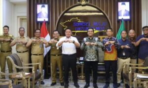 Dorong Percepatan Listrik Desa dan Penataan Jaringan PLN