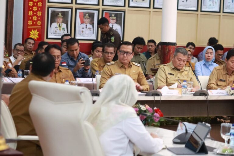 Pj Bupati Banyuasin Hadiri Rapat Penyerapan dan Pengendalian Harga Gabah Sumsel