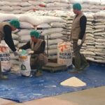 Catat Rekor, Bulog Serap 97 Ribu Ton Setara Beras di Sumsel Babel