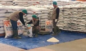 Catat Rekor, Bulog Serap 97 Ribu Ton Setara Beras di Sumsel Babel
