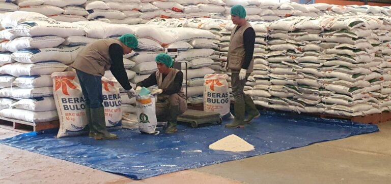 Catat Rekor, Bulog Serap 97 Ribu Ton Setara Beras di Sumsel Babel