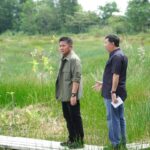 Gubernur HD Tinjau Lintasan Drag Race dan Road Race JSC Jakabaring